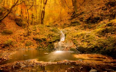 Őszi erdei túra és wellness